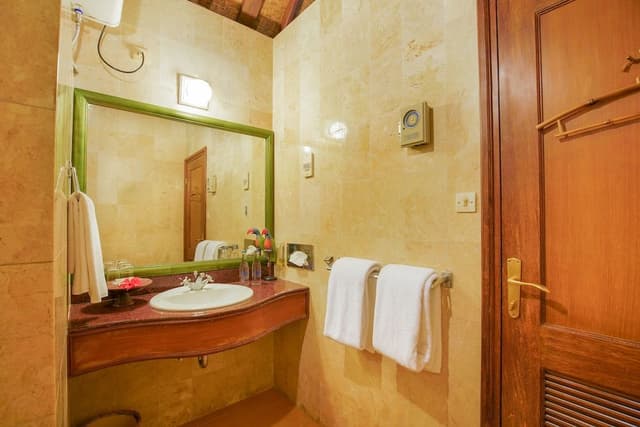 Superior Double or Twin Room, Garden View