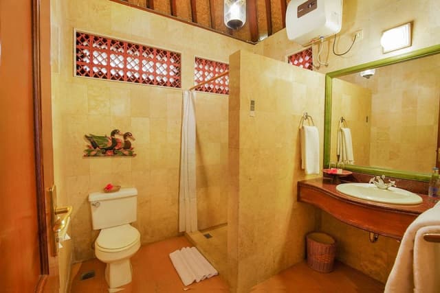 Superior Double or Twin Room, Garden View