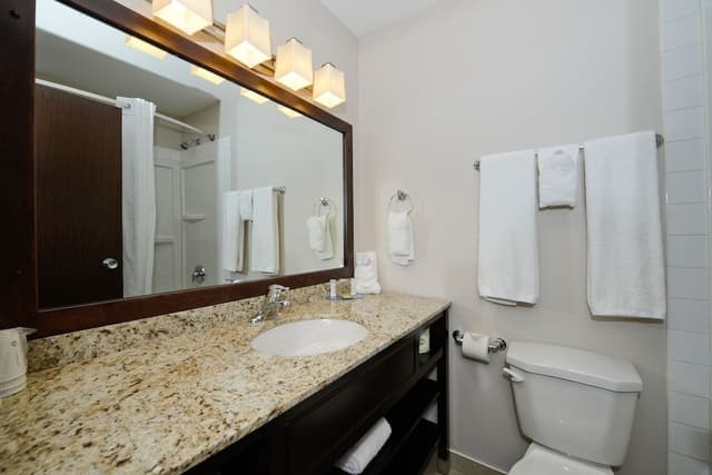 Suite, 1 King Bed