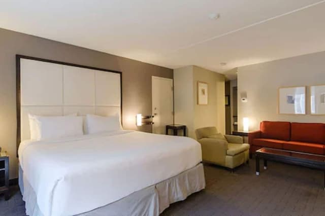 Spacious Corner Suite