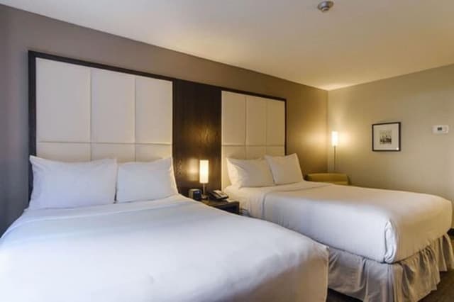 Cozy Family Double Room
