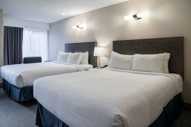 Standard Room, 2 Queen Beds