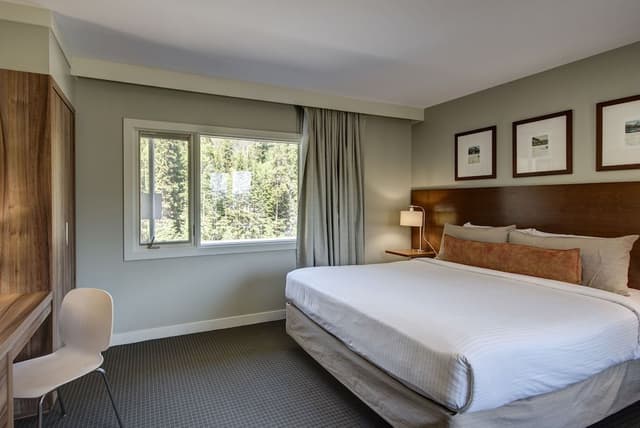 Panoramic Suite