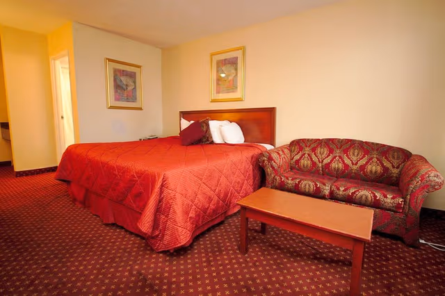 Standard Room, 1 King Bed with Sofa bed
