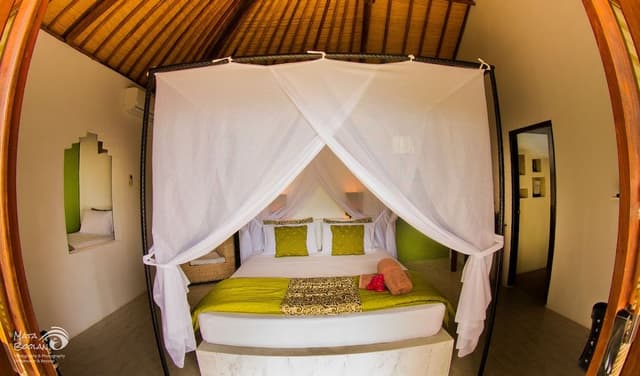 1 Bedroom Cottage Ocean View
