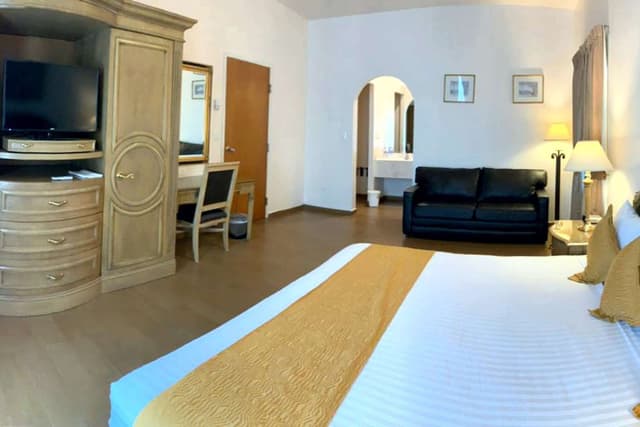 1 King Bed, Non-Smoking, Junior Suite, Two Sofabeds, Kitchen, Microwave And Refrigerator, Coffee Maker, Continental Breakfast