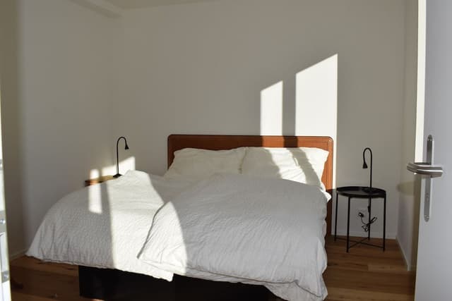 Apartment (Jungfrauview)