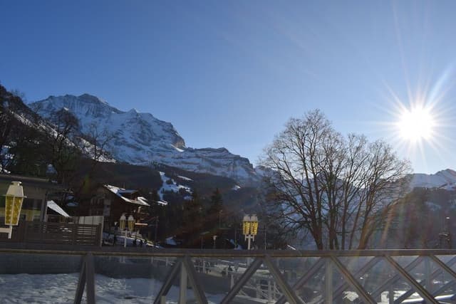 Apartment (Jungfrauview)