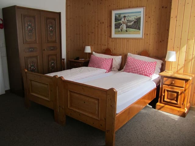 Superior Double or Twin Room