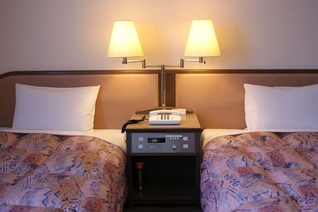 Twin Room, 2 Twin Beds, Smoking