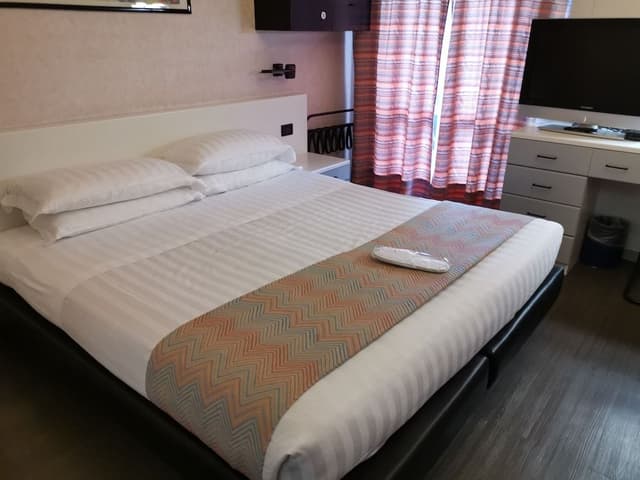 Standard Double Room Single Use