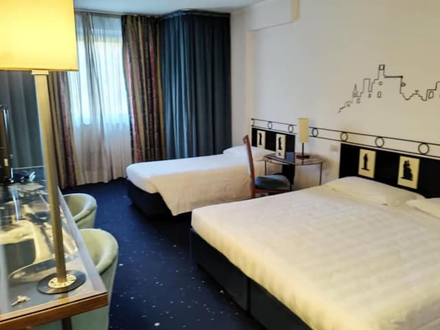 Superior Double or Twin Room