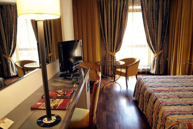 Superior Double or Twin Room