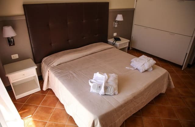 Standard Double or Twin Room