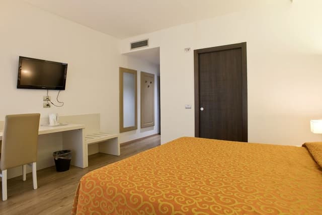 Deluxe Double Room Single Use