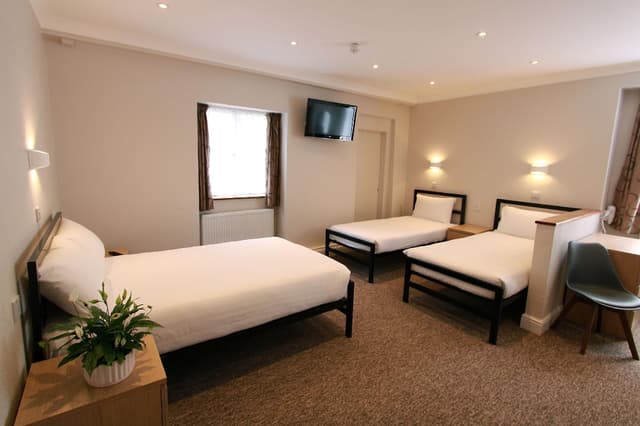 Superior Room with 6 Single Beds