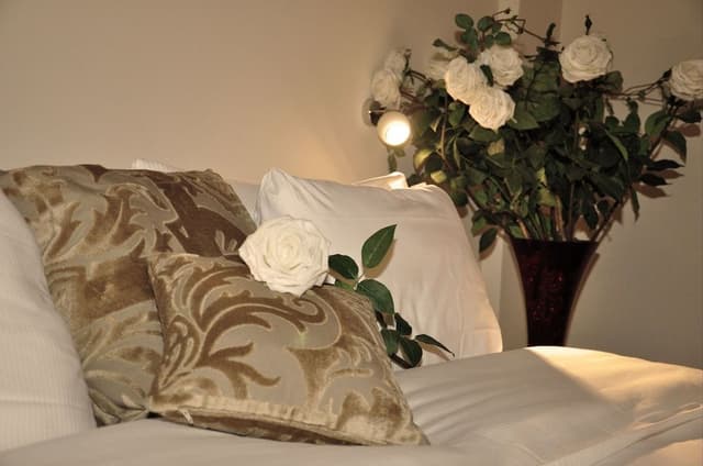 Double or Twin Room Executive - Venice View