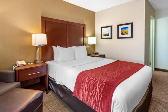 Room, 1 Queen Bed, Non Smoking