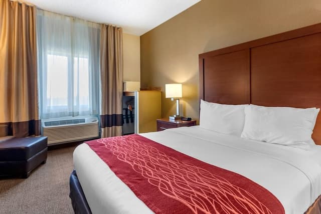 Room, 1 King Bed, Accessible, Non Smoking