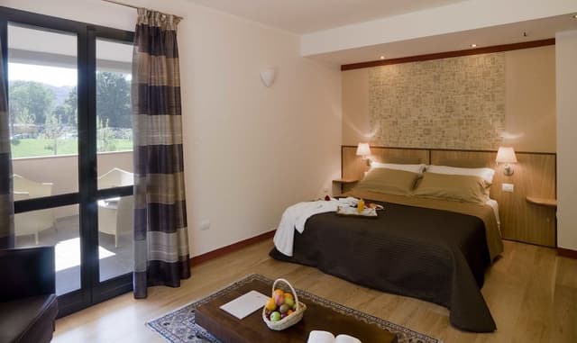 Deluxe Double Room (SPA access)