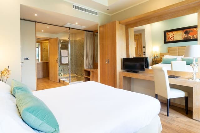 Double Room Single Use