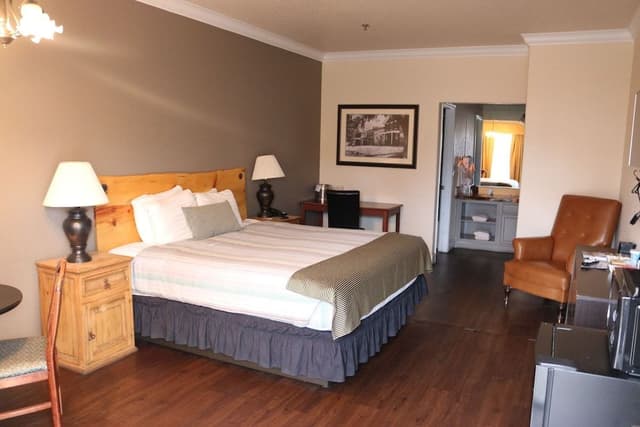 Superior Room, 1 King Bed, Ground Floor (Pet Friendly with Pet Fee)