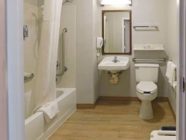 Room, 1 King Bed, Accessible, Non Smoking