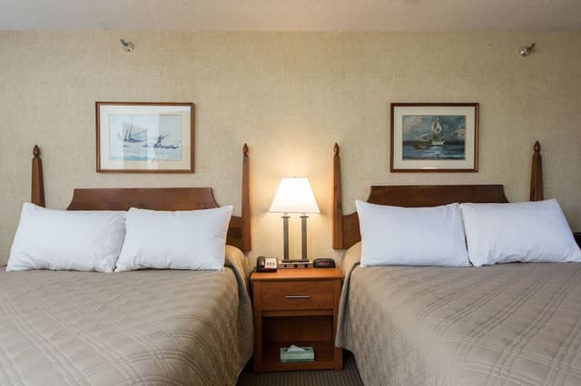 Deluxe Room, 2 Queen Beds. Pet Availability Limited. Please inform of pets at time of booking.