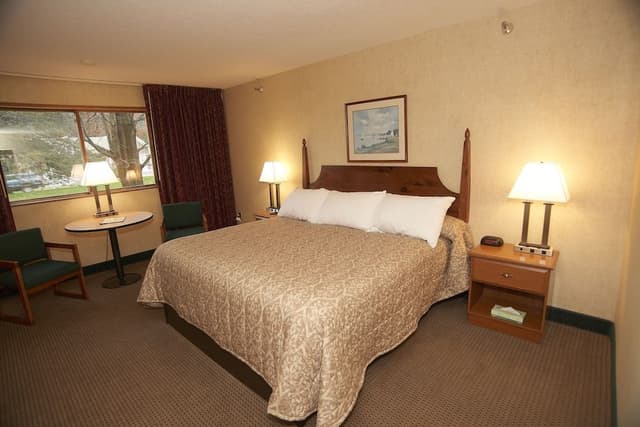 Deluxe Room, 1 King Bed. Pet Availability Limited. Please inform of pets at time of booking.