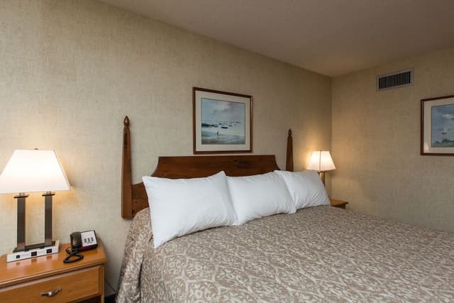 Deluxe Room, 1 King Bed. Pet Availability Limited. Please inform of pets at time of booking.