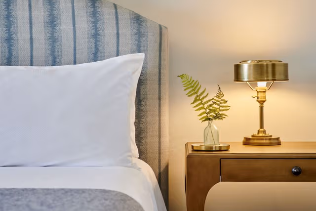 Traditional Room, 1 King Bed, Accessible