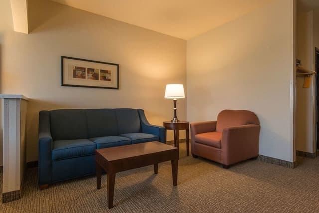 Suite, 1 King Bed with Sofa bed, Non Smoking (Pet Friendly)