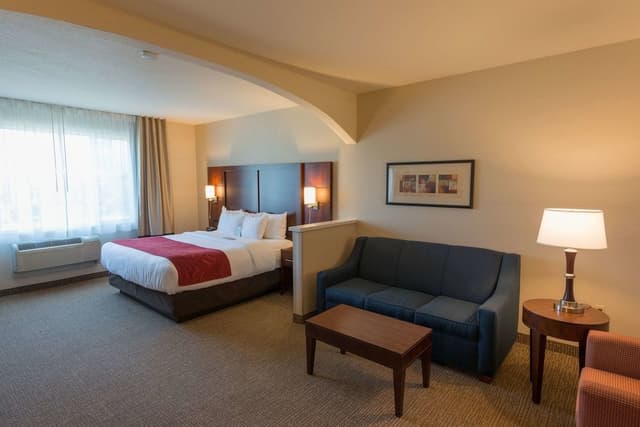 Suite, 1 King Bed with Sofa bed, Non Smoking (Pet Friendly)