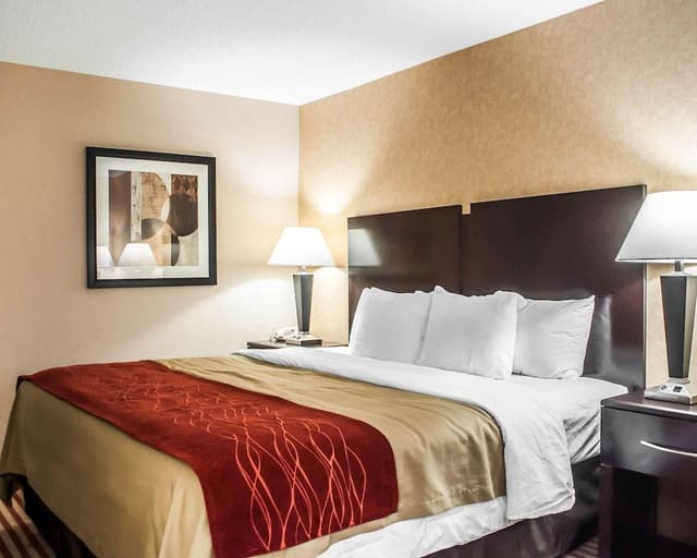Standard Room, 1 King Bed, Non Smoking