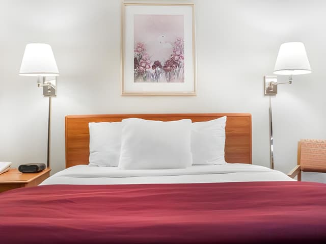 1 Queen Bed Non-smoking Accessible