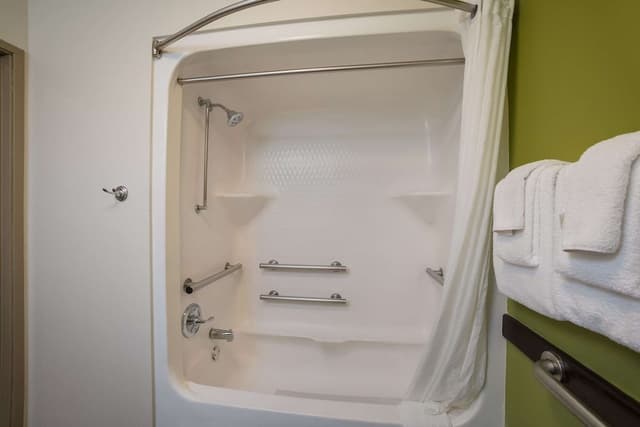 Standard Room, 1 Queen Bed, Accessible, Refrigerator & Microwave