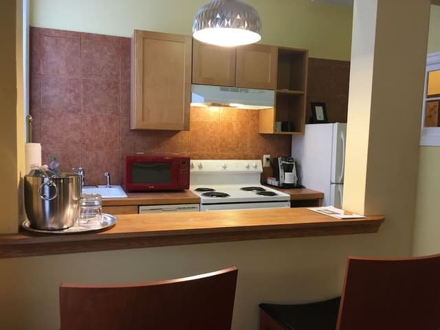 Large Extended Suite 403 (1 bdrm apt)