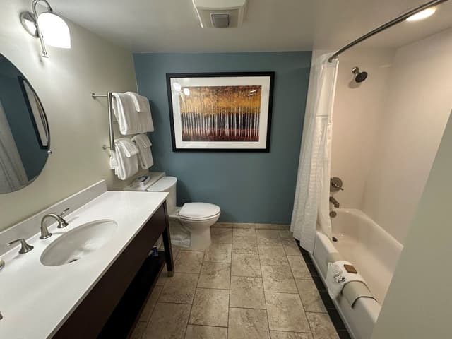 Deluxe Suite (Hotel) (No Pets)