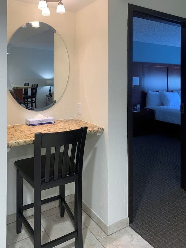 Deluxe Suite (Hotel) (No Pets)
