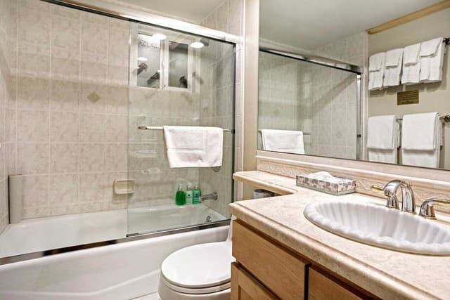 Condo, 2 Bedrooms 2 Bathrooms (Platinum 900 Square Foot Condominium)