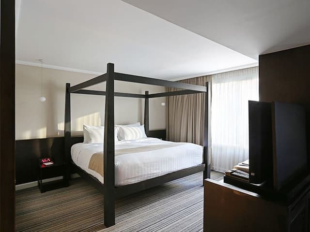 Junior Single Suite