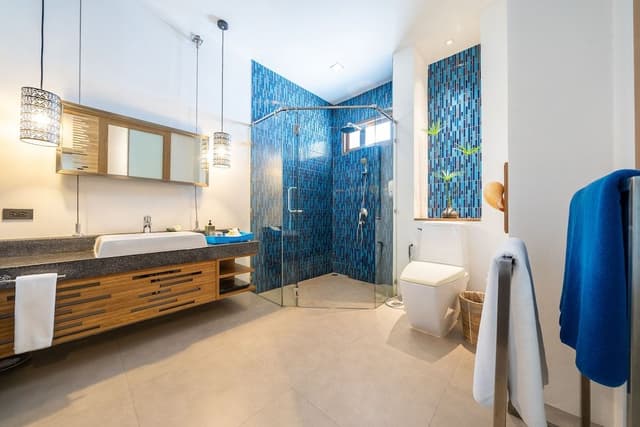 Deluxe Premier Room