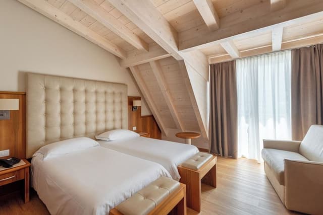 Superior Double or Twin Room