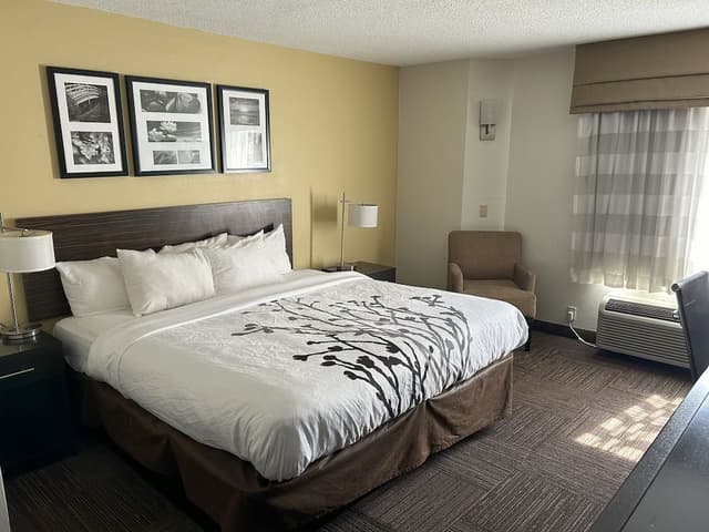 Room, 1 King Bed, Accessible, Non Smoking