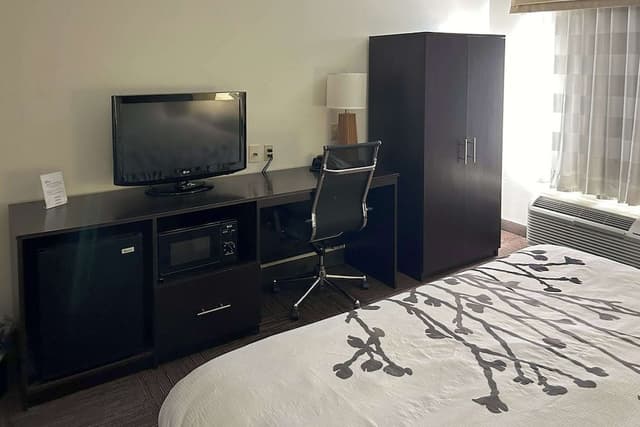 Room, 1 King Bed, Accessible, Non Smoking