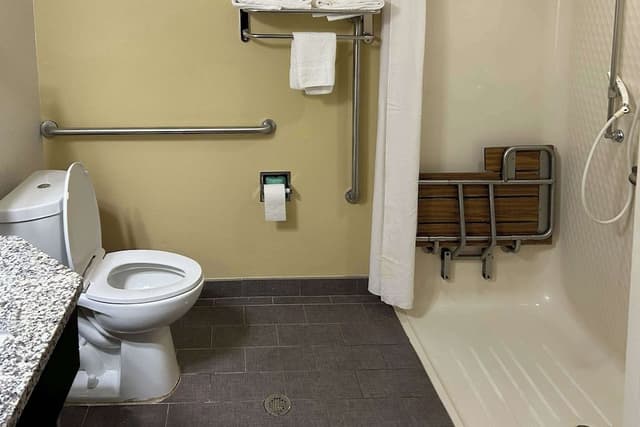 Room, 1 King Bed, Accessible, Non Smoking