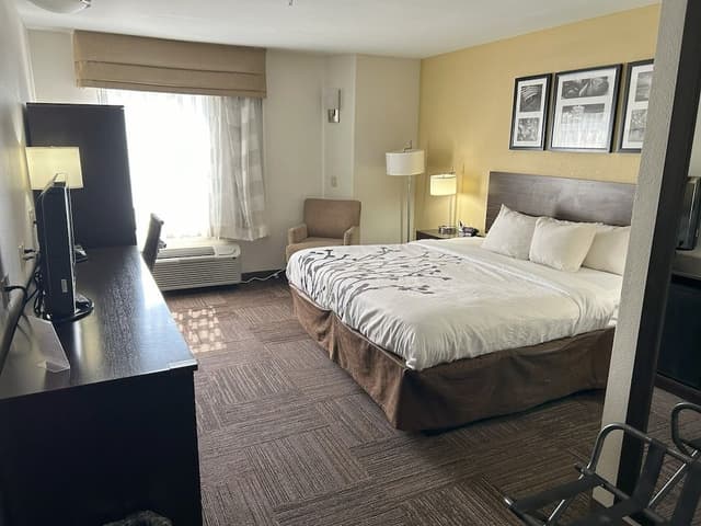 Room, 1 King Bed, Accessible, Non Smoking