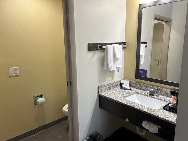 Room, 1 King Bed, Accessible, Non Smoking