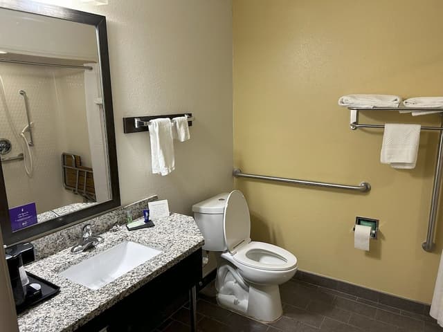 Room, 1 King Bed, Accessible, Non Smoking
