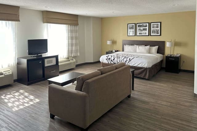 Suite, 1 King Bed, Non Smoking